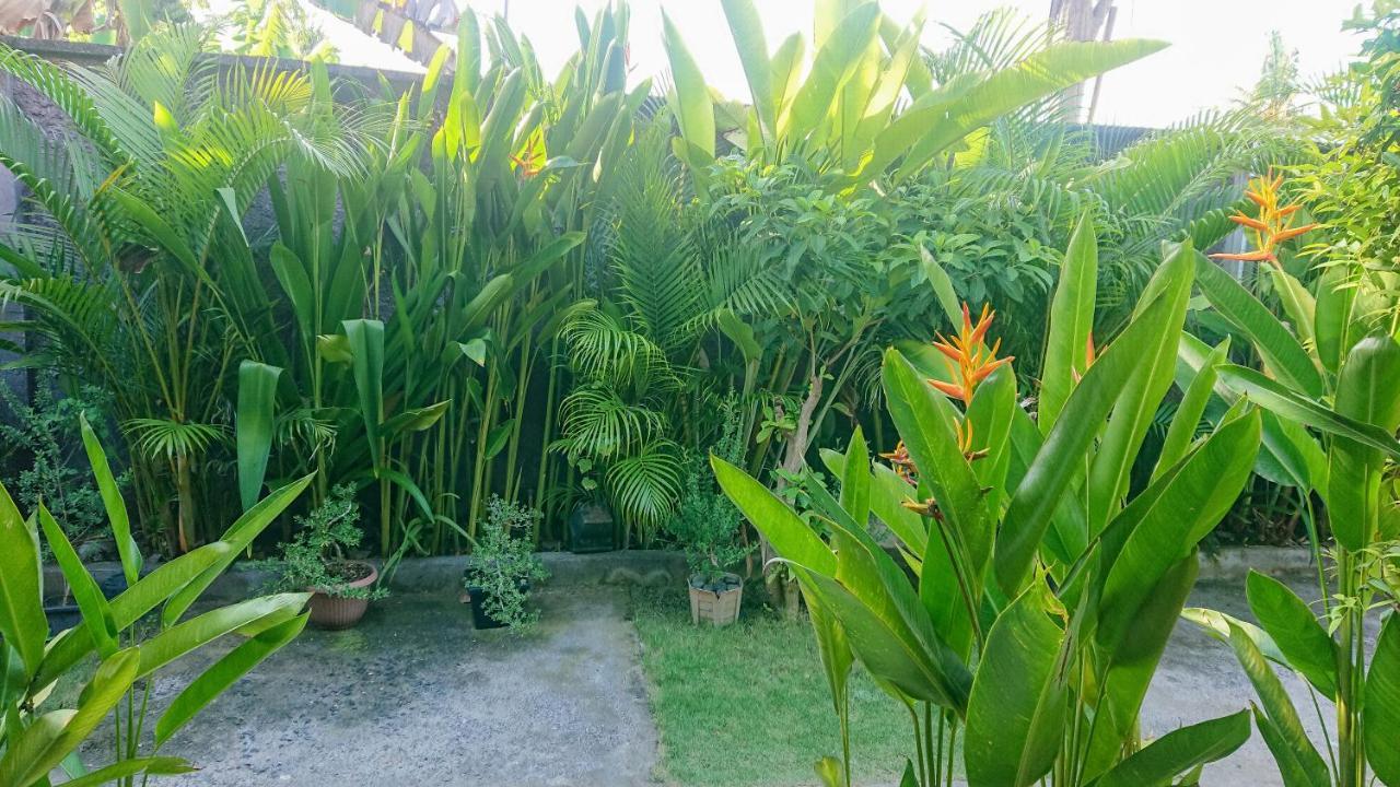 The Cozy Bidara Nusa Penida Toyapakeh Buitenkant foto